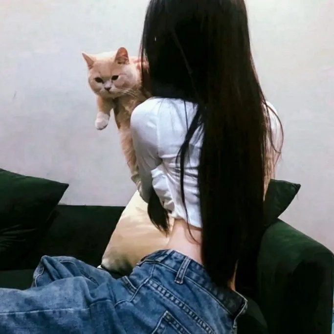 穿长筒靴的猫