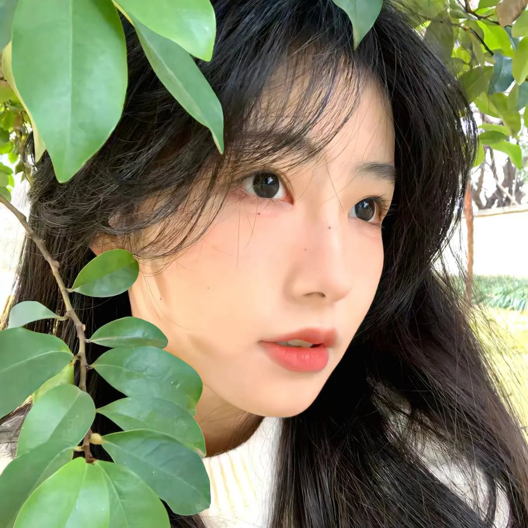 天盛长歌